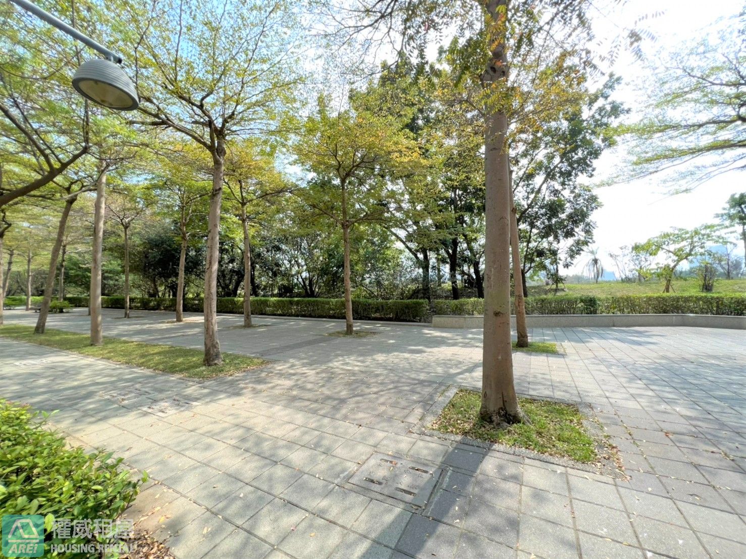 ART美術館人文首璽綠景三房平車