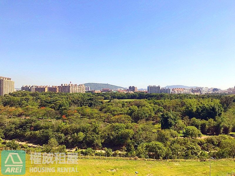 都會公園鼎宇森之丘泳池景觀3+1房平車