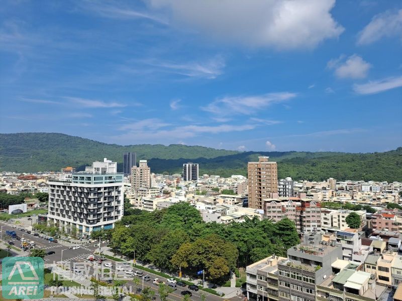 美術館馬爾地夫高樓層無限棟距五房平車景觀宅