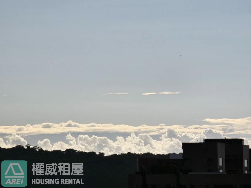 美術館龍騰極緻4房2廳3衛2陽台+雙平車