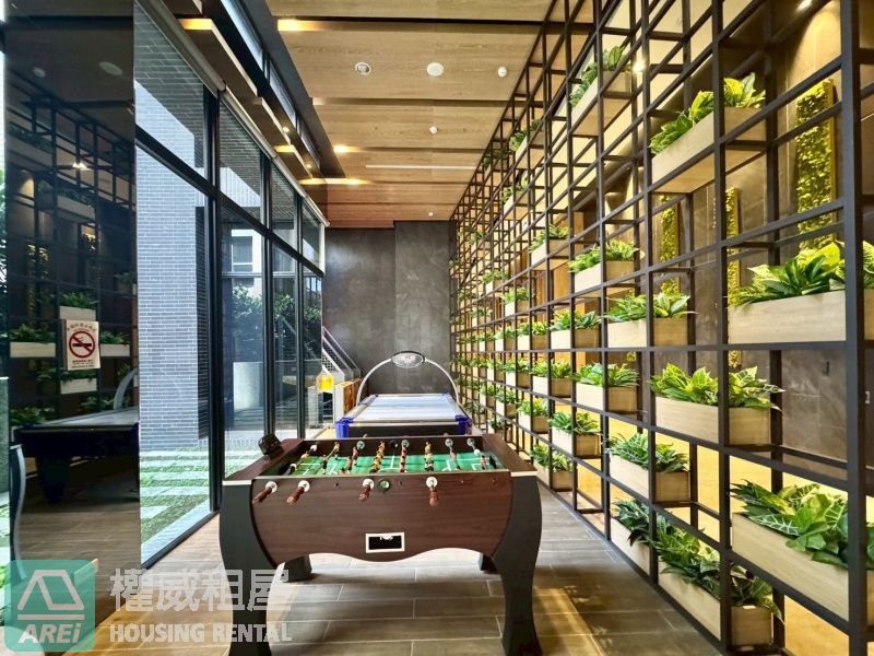 中都濕地公園樹海景觀🌳森林系三房平車