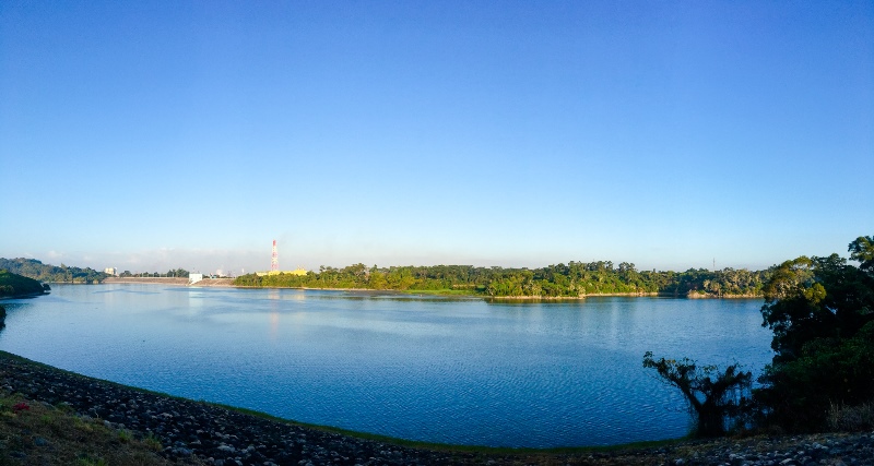 🌿 住在森林裡！清景麟國家公園｜綠隱兩房空屋