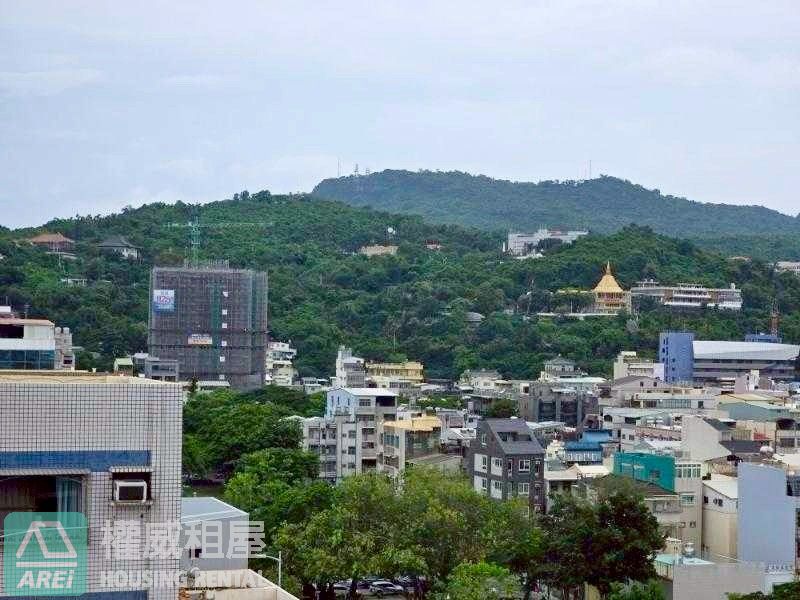 🏙西子灣|仰德˙駁二✧綠意1+1房|有傢俱可租補