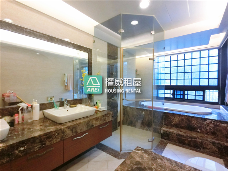 新市鎮雄崗布拉格社區雙車墅