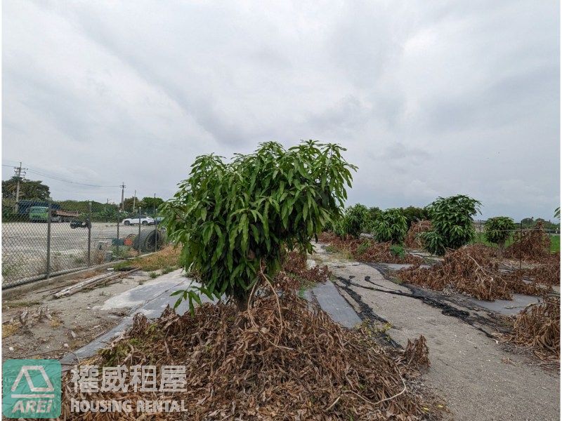 屏東竹田鄉農地（兩分地）