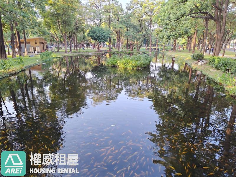 黃金地段透天店面|橘線大東捷運站藝文中心