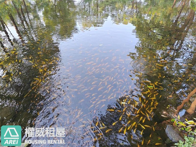 黃金地段透天店面|橘線大東捷運站藝文中心