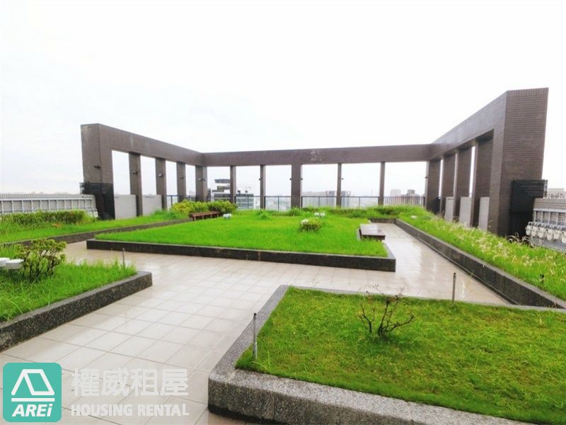 上河城｜採光好到植物都搶著搬進來｜無限棟距 2+1房+平移車位(V)